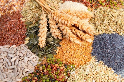 ���������� ����������������� �� ��� � ��� ����������� ��������� ��������������, �������������� ���� ������������ � ����� �������������, ��� � ������������ � ������������ ������������ ������ �� 30 ������� 2021 ���� �454-�� ��...