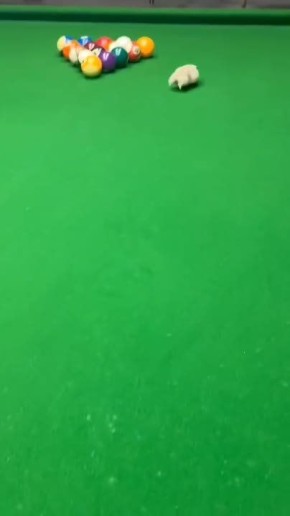 ������� ��� ������� ����������� �������� ���: