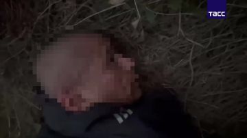 �� ������ ������������ ������ � ������� � ����������� ����������� ����� ����������� ���� � ������� ������