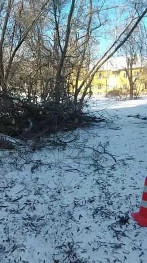 ������ ����������� ������������� ������������� ������ ������� ���������� �� ����� � ���������� �������� � �������� ������� ������� �� �����