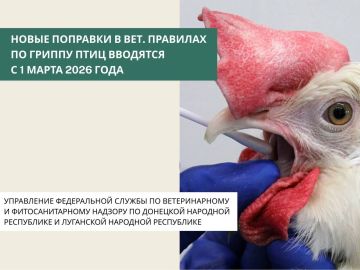 �������� � ������������ ������� �� ������ � ������� ������� ���� ������ ����������� � 1 ����� 2026 ����