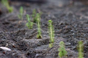 ��������������������� ������ �� ������� 90 �������� ����� ��������� � ��� �� ����� ���� � ������ ���������� �������������� ������������