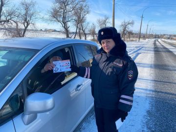 ���������� ���������������� ������� �������� �������������-���������������� ����������� � ���������� ������������ ������� � ������ ������ �