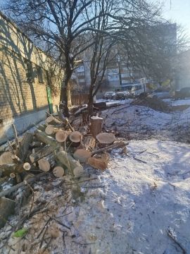 ����������� ������ ������������� �������� 4 �������