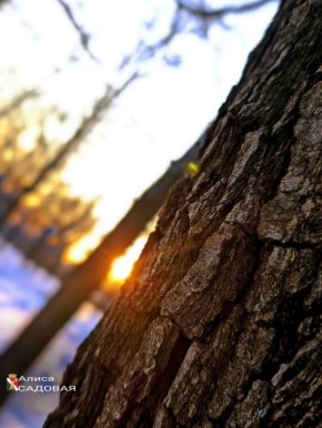 ������ ����, ������� �����!