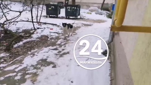 ����� ��������. ���� ������������ ����� ������� ���������� � ���������