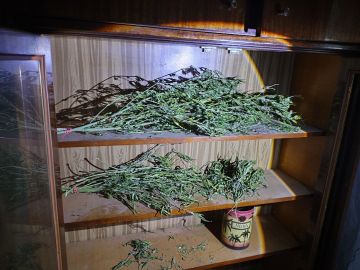 ���������� ������� ������ ������, ��������� � ���������� � ������ �������������� �.�