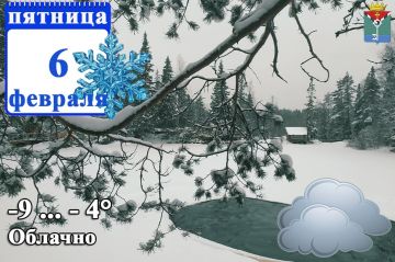 ��� ��� �����������:. 6 ������� � ���������� ��������� ����, ������ ����, ���������-����������� ���������, ������� �����, ����������, ������ ����� �� 18 �/� � ���, �� ��������� ��������� ���� ������ ����, ������� �����...