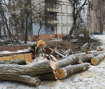 ����� ���������: �� ���������� ��������� ����� �������� �������� ���������� ������ ������������� �������� �� ���������� ������������� ���������������� ������ �. ������� ������ ������� ������������� ����� �� ����������...