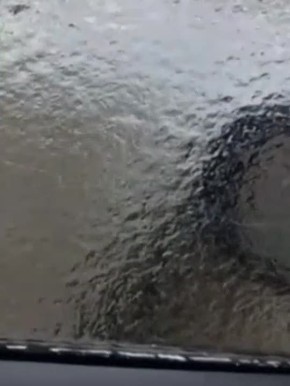 �� ��� ������� - �������� ��� �������� ����?!