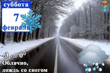 7 ������� � ���������� ��������� ������ ����, �����, �����, ���������-����������� ���������, ������� �����, ����������, ������ ����� �� 20 �/� � ���, �� ��������� ��������� ���� ������ ����, �����, �����, ������ ����� �� 14...