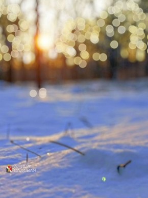 ������ ����!. #�������� #������������������ #���������������