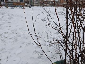 ������������� ��������. 7 ������� � ���������� ��������� � ��������� ������ � ���� ������� ����� � �����