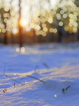 ������ ����!. #�������� #������������������ #���������������