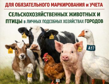 ���� ������: ������ ��������� ��� ���������� �������������������� �������� � �����!