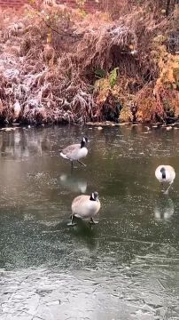 �� ������ ���, ������� ��������� ��������� � �������� ������ � ��, ��� �� ��������