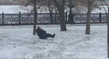 ����� �������: ������������� � �������� ������� ������� � ������� � ������� �����) �������� 46 �������