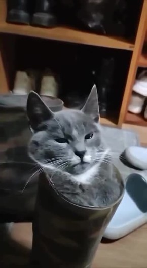 ����������� ��� � ������� �������� ������ ���!