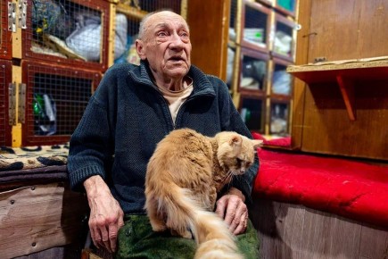 ��������� �� �������� �������� ���������� ������ ������ ����� ��� �������� ��������� �����