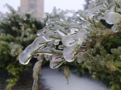 9 ������� � ���������� ���������� ����������, ������� ��������� ����