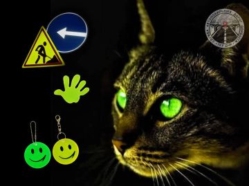 �� ���� � ������������: ��� ��������� ����������������� ��������