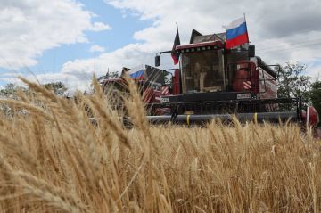 � ��� �������� ������������ �������������������� �����������: ������ �������������� ��� ��������