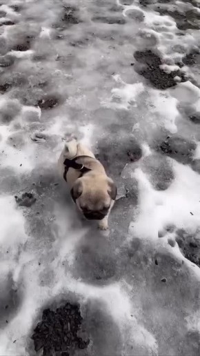 ������� �� ������ ���������� ���!