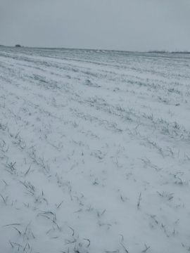 �������� �������� �������: ������ �� ����� ��� �� ���������� �� ������ ����� �����������