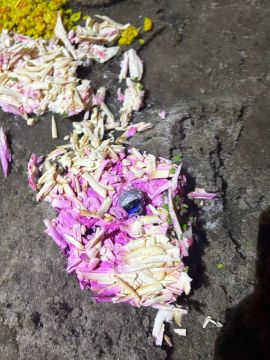 ������ ������������ �������� ������� ����������� ����� ����������