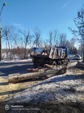 ����������� ������ ������������� �������� 11 �������