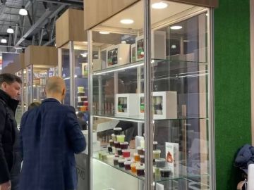 �������� ���, ��������� ������� � �������� ������: ��� ��� ������� ���������� ������������� �������� ����������-2026� � ������