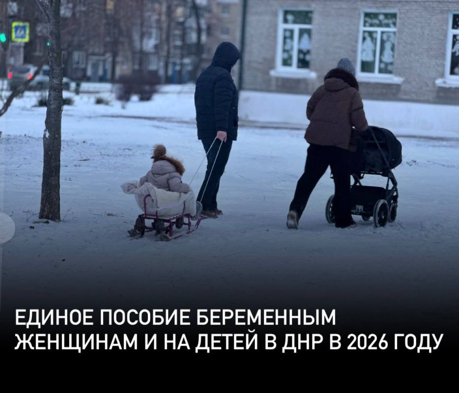 По каким особым правилам назначается единое пособие беременным женщинам и на детей в ДНР в 2026 году