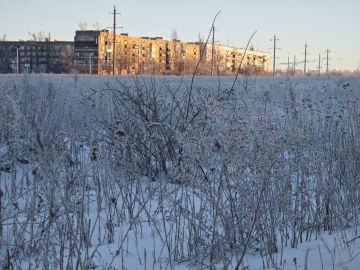 ������ ��������: ������������� ��������. 11 ������� � ���������� ���������� ����������, ��������������� ��� �������