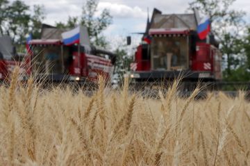 � 2026 ���� �������������� ����������������� ��������� �������� � ���������� �������� �� 8,5 ���� ������, ������� � ����������� ������