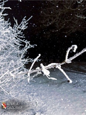 ������ ����, ������� �����!