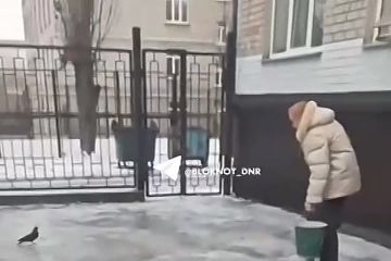 В Кировском районе Донецка малолетки накинулись с оскорблениями на работницу школы