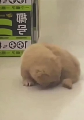 ��� ������, ��� ������. ������ ����� ����� ��� � ���������