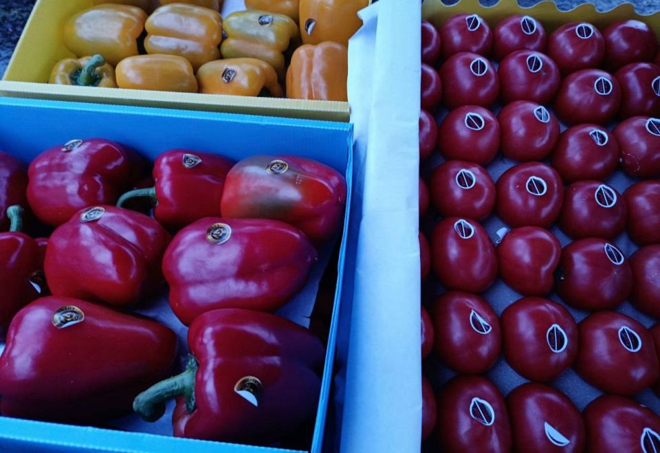 ������������� ������� � ������ ���������