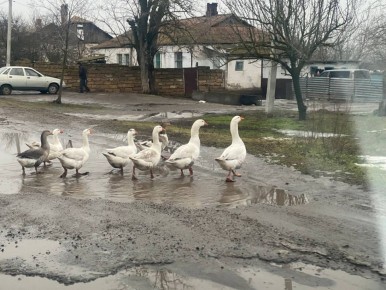 ������ ���� � ���