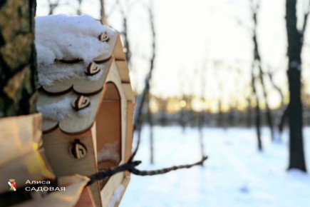 ������������� ������������!