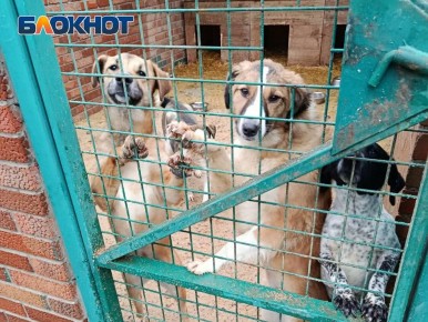 �������� ���� � ���� � �������: �������� ��������� ������ ��������� � ������ ������� �� ��������� � ��������