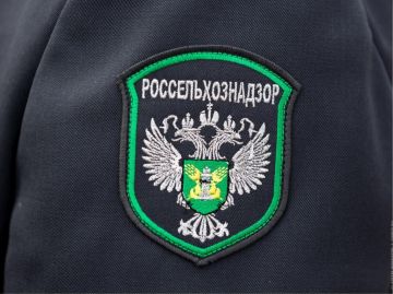 � ��� ������������������ ��������� ��������� � ��������������� ��� �� �������� ���������� ����������������