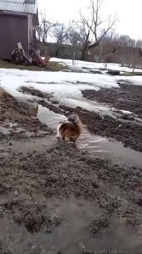 ���������� ��� ����� �� ������� �����