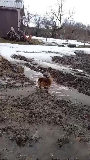 ���������� ��� ����� �� ������� �����