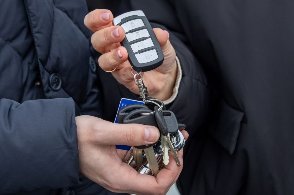 ������ �������: �������� ������ ��������������� �������� ����������� �������� �������� � ��������� �������� ���������