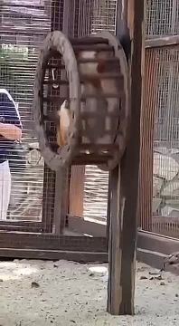 ��������� �� ���� ������� ������ ���������: