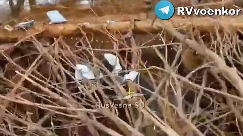 �������� �������� ���������� �����, ��������� ������ � ������� ��� ��� ���������� � � ���������������� �������