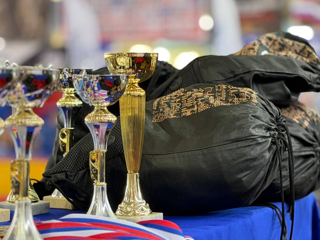 Марина Каплянок и Сергей Добровольский посетили Республиканские соревнования по самбо в честь героев СВО