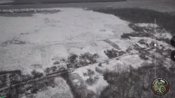 ����� 8 ���������������-��������� ������� ������� ���� ���� ��� ���������� (���������� �����������)