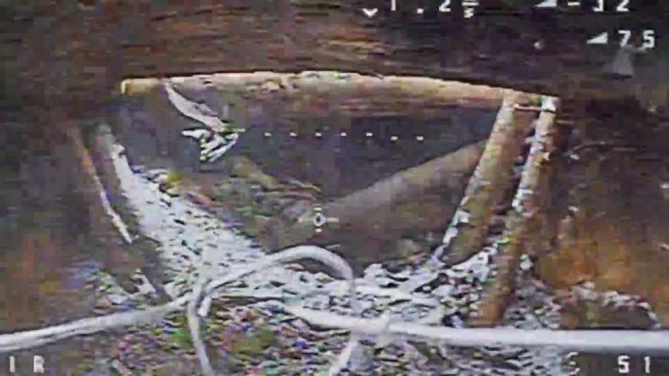 ������� ���������: 150 ��� �������� ������� � ���� ��� � ������ ���������